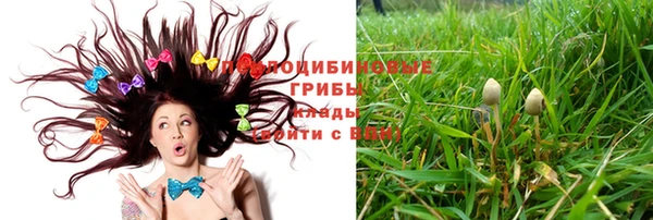 spice Алексеевка
