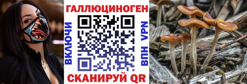 Псилоцибиновые грибы ЛСД Шарья